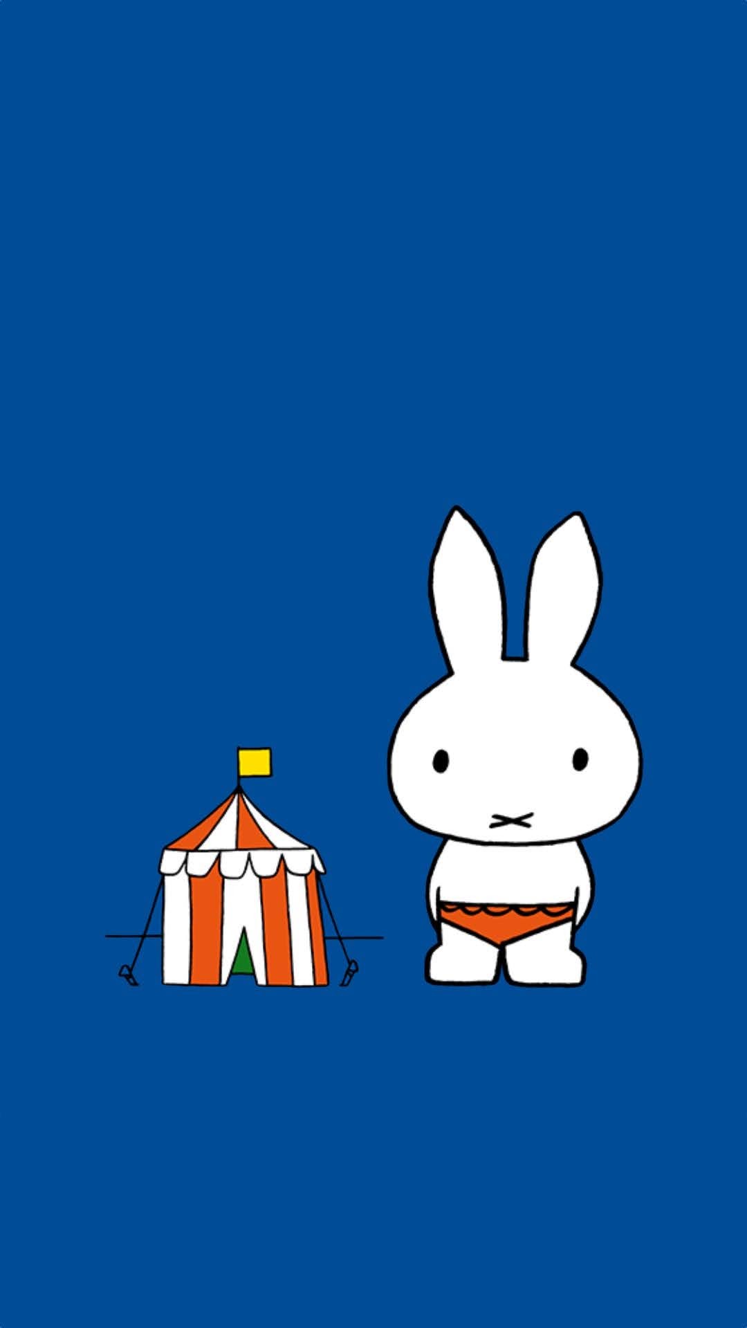 いろんなミッフィーが見たい( ・×・ )