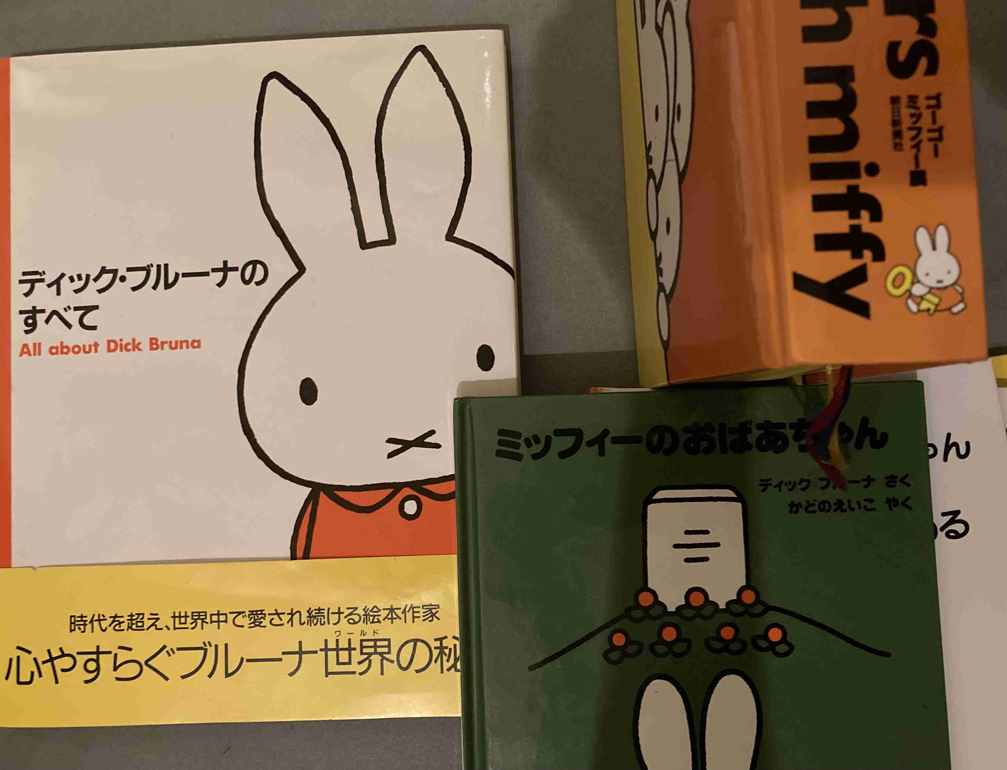 いろんなミッフィーが見たい( ・×・ )