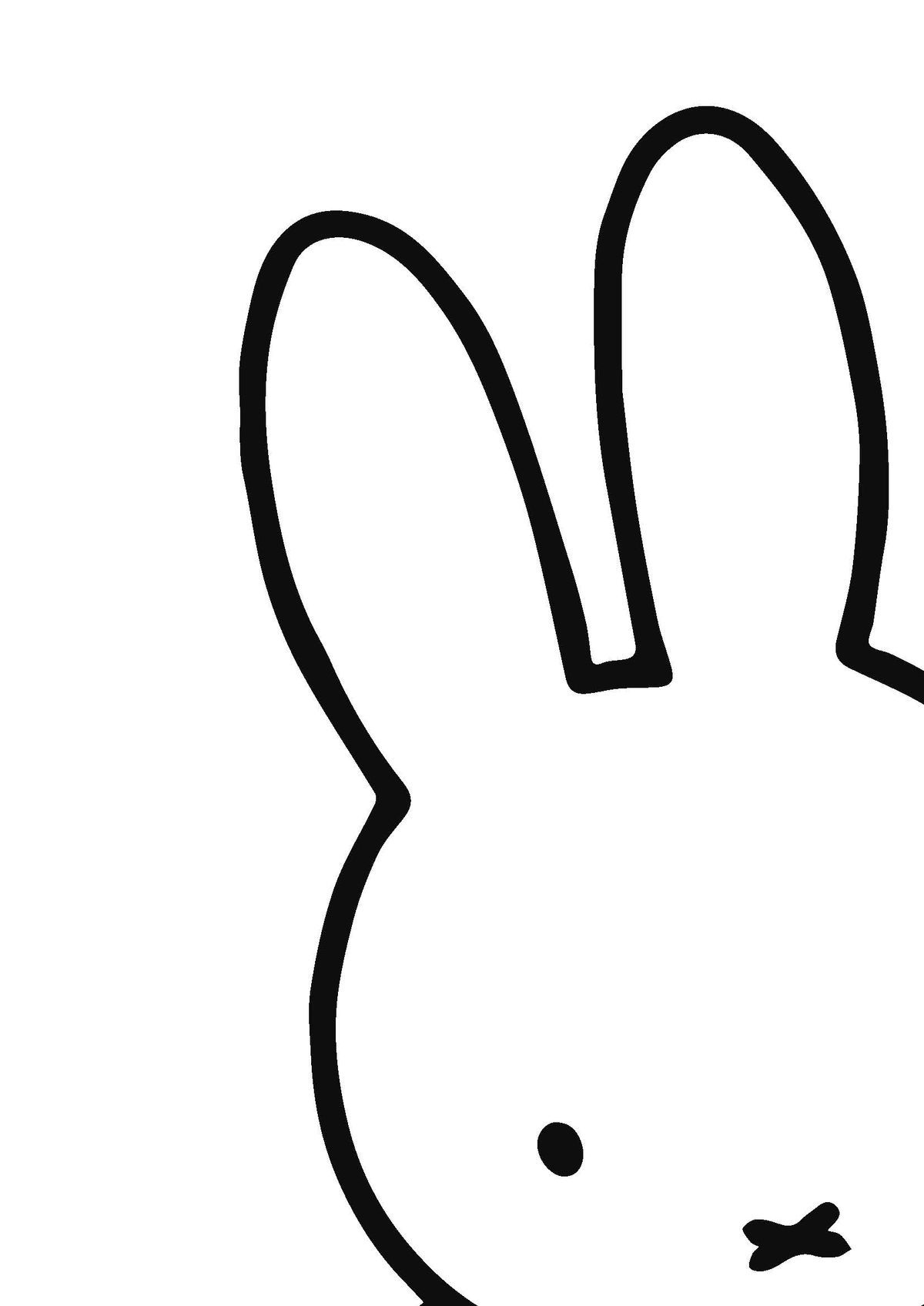 いろんなミッフィーが見たい( ・×・ )