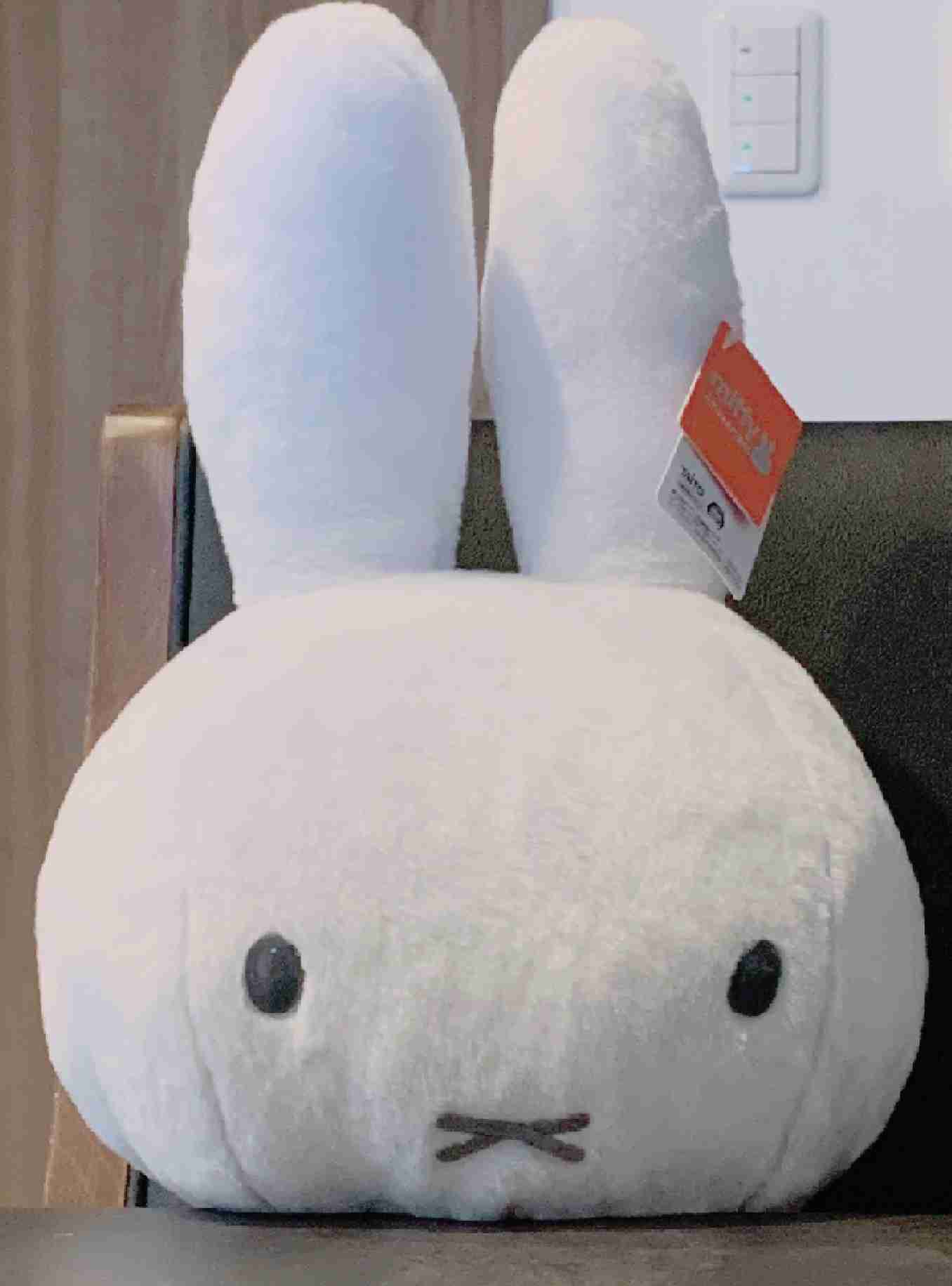 いろんなミッフィーが見たい( ・×・ )