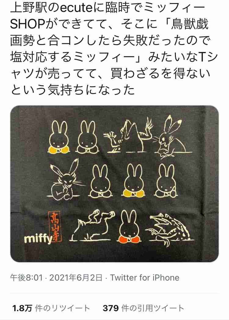 いろんなミッフィーが見たい( ・×・ )