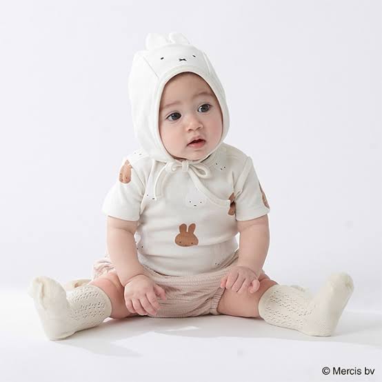 いろんなミッフィーが見たい( ・×・ )