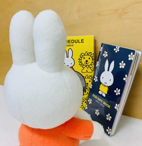 いろんなミッフィーが見たい( ・×・ )