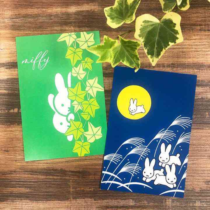 いろんなミッフィーが見たい( ・×・ )