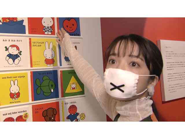 いろんなミッフィーが見たい( ・×・ )