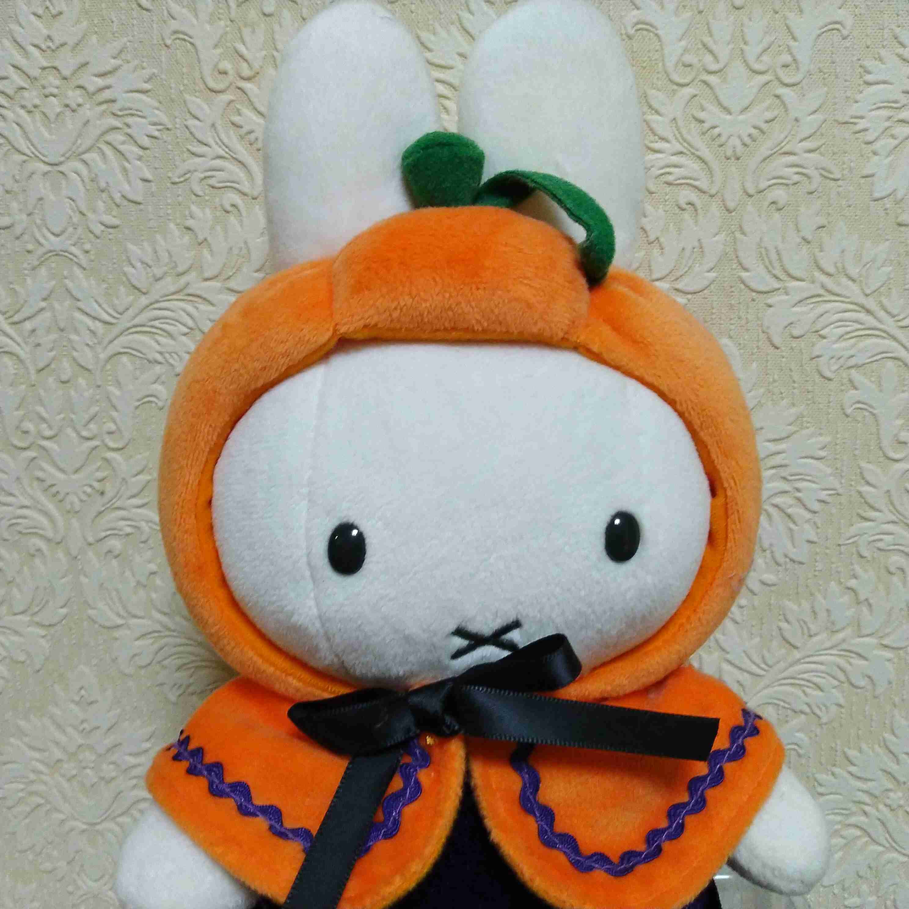 いろんなミッフィーが見たい( ・×・ )