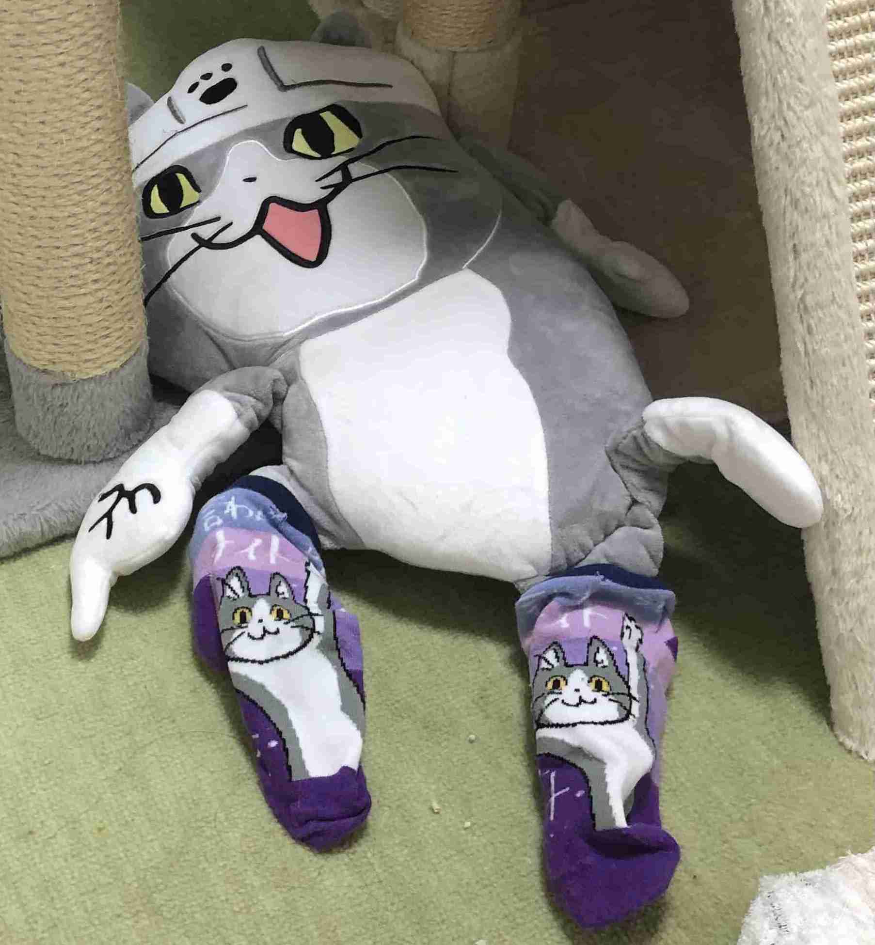 現場猫を愛でるトピ