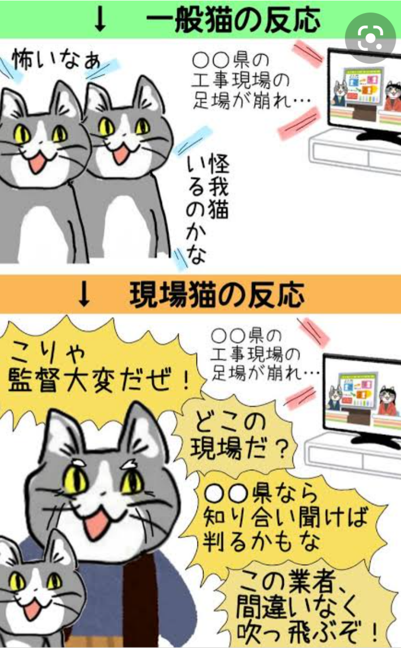現場猫を愛でるトピ