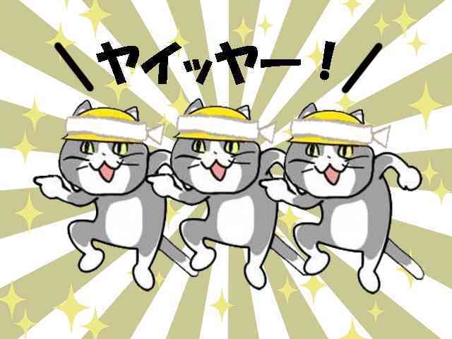 現場猫を愛でるトピ