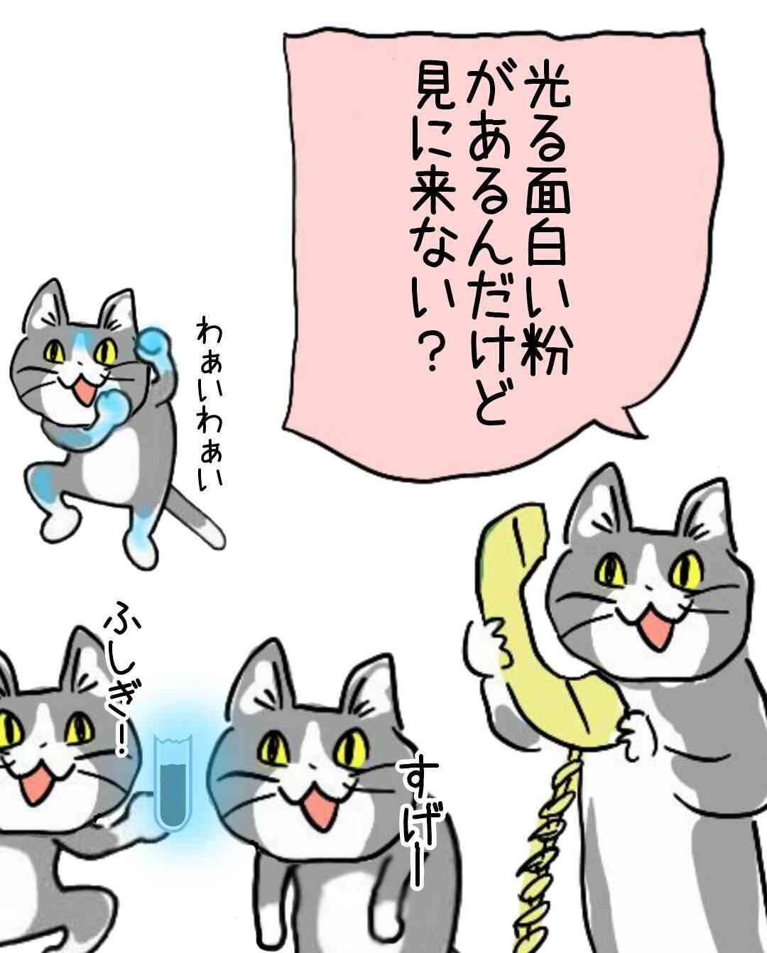 現場猫を愛でるトピ