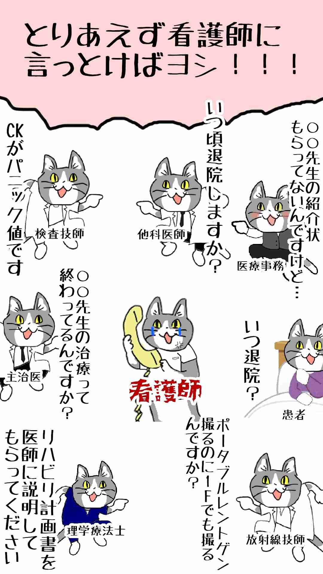 現場猫を愛でるトピ