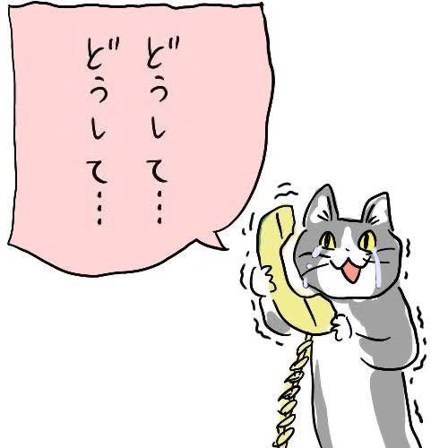 現場猫を愛でるトピ
