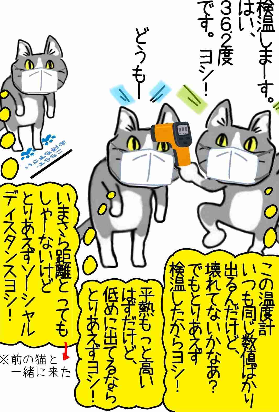 現場猫を愛でるトピ