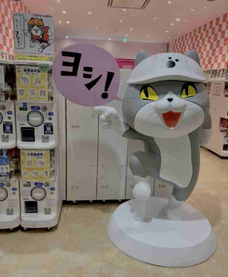 現場猫を愛でるトピ