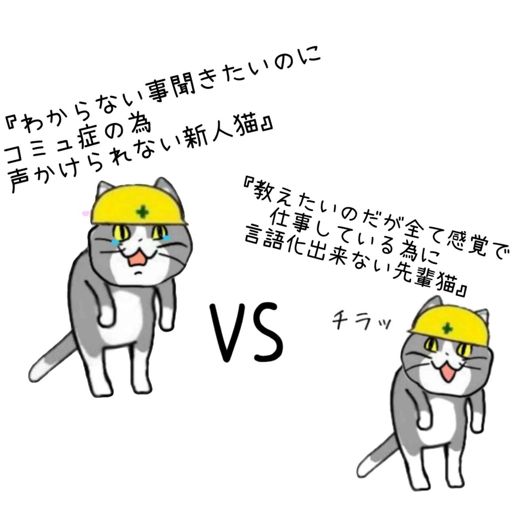 現場猫を愛でるトピ