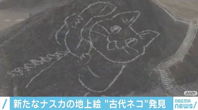 現場猫を愛でるトピ