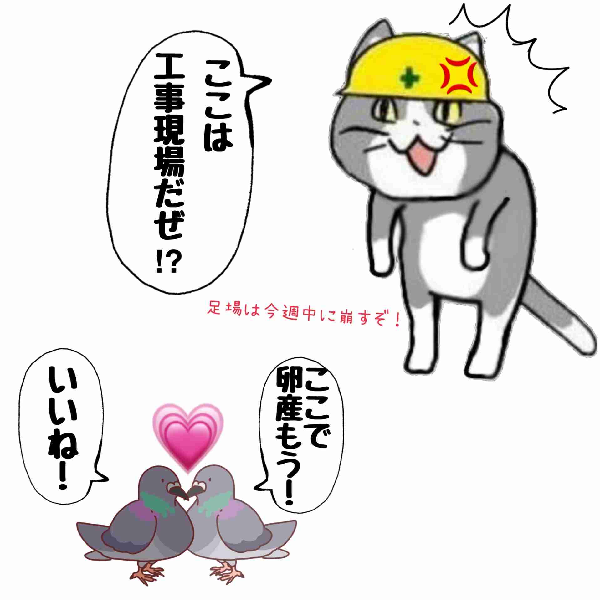 現場猫を愛でるトピ