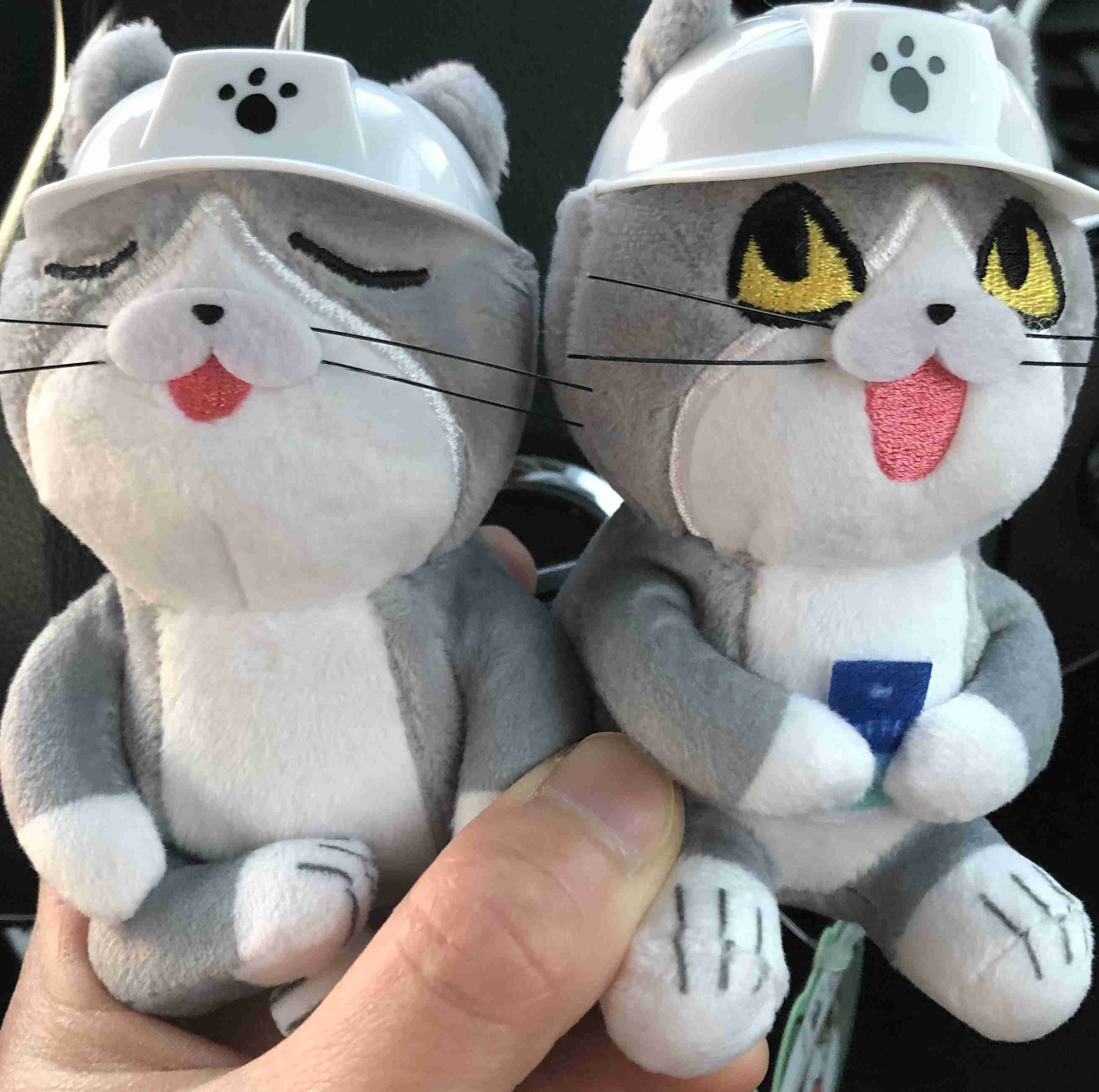 現場猫を愛でるトピ