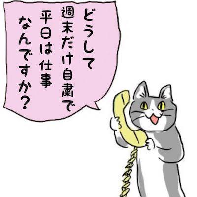 現場猫を愛でるトピ