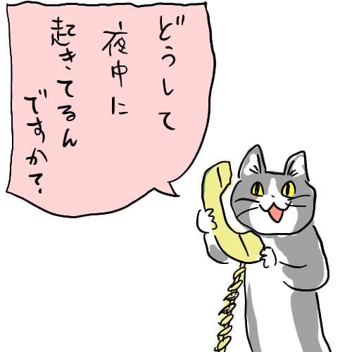 現場猫を愛でるトピ