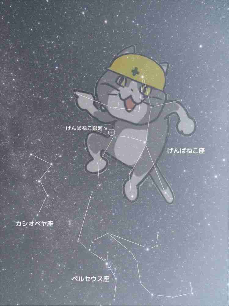 現場猫を愛でるトピ