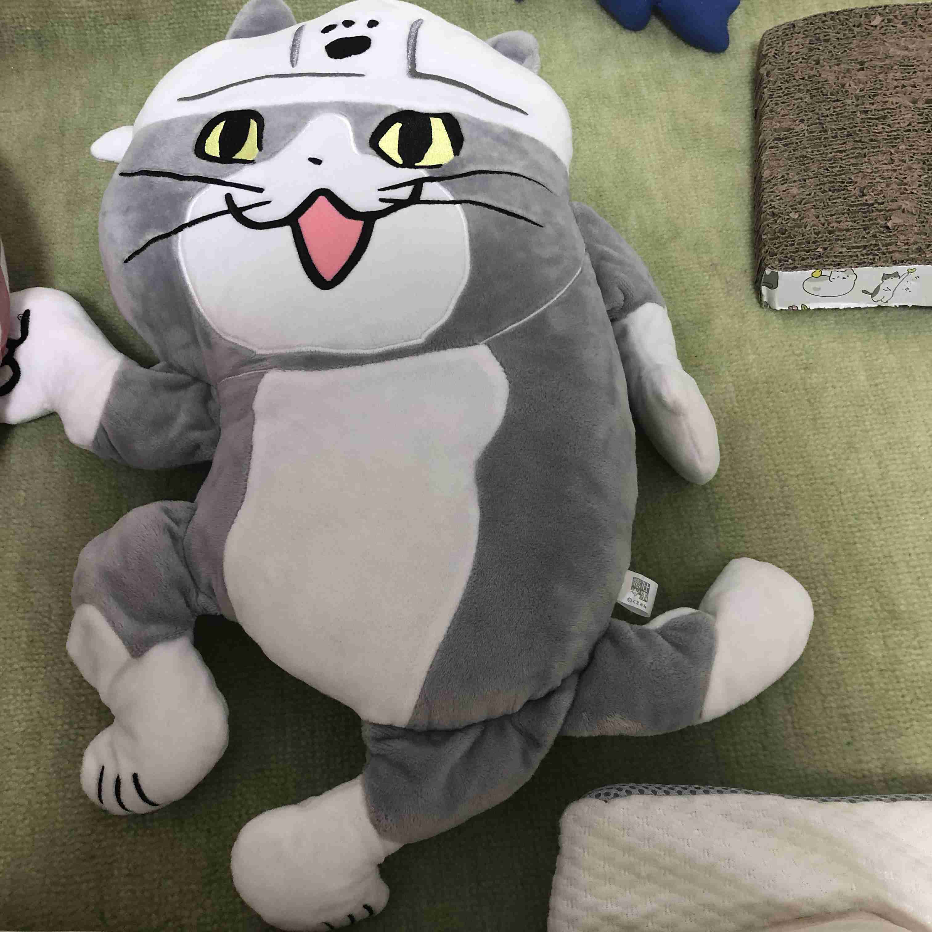現場猫を愛でるトピ