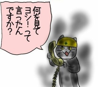 現場猫を愛でるトピ
