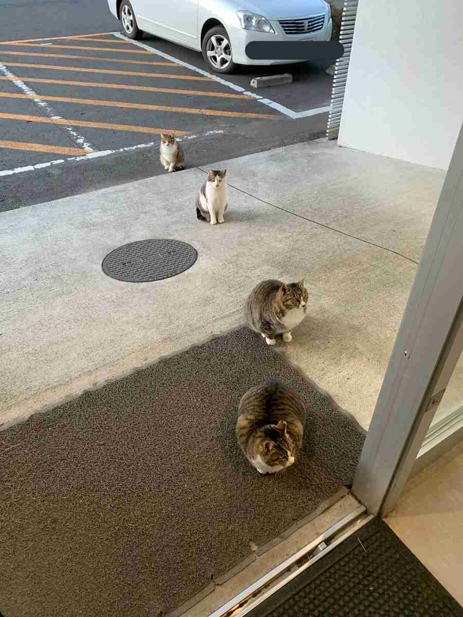 みなさんの地域・会社・学校や園で「濃厚接触者」の基準は?