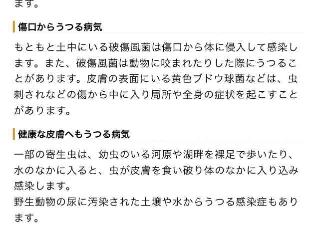安田美沙子、はだしで長男&次男と芋掘り「子供たち輝いてる」「色々経験させてあげて素敵」