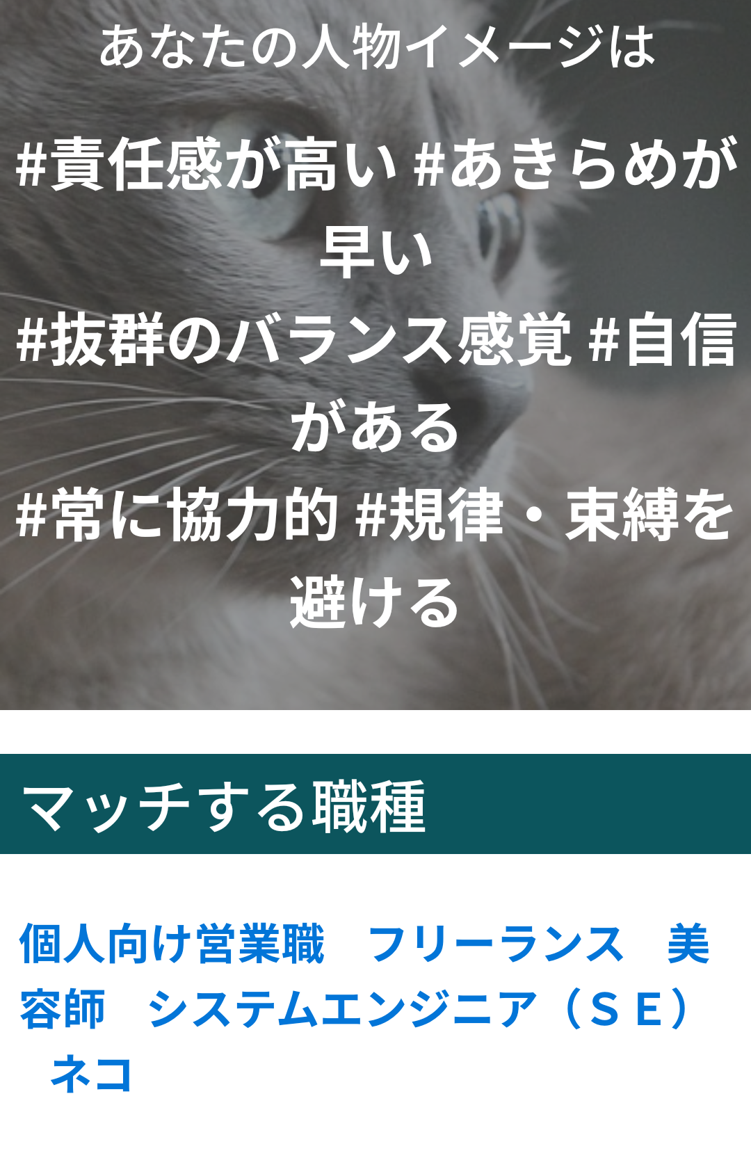 転職活動長期化パート84