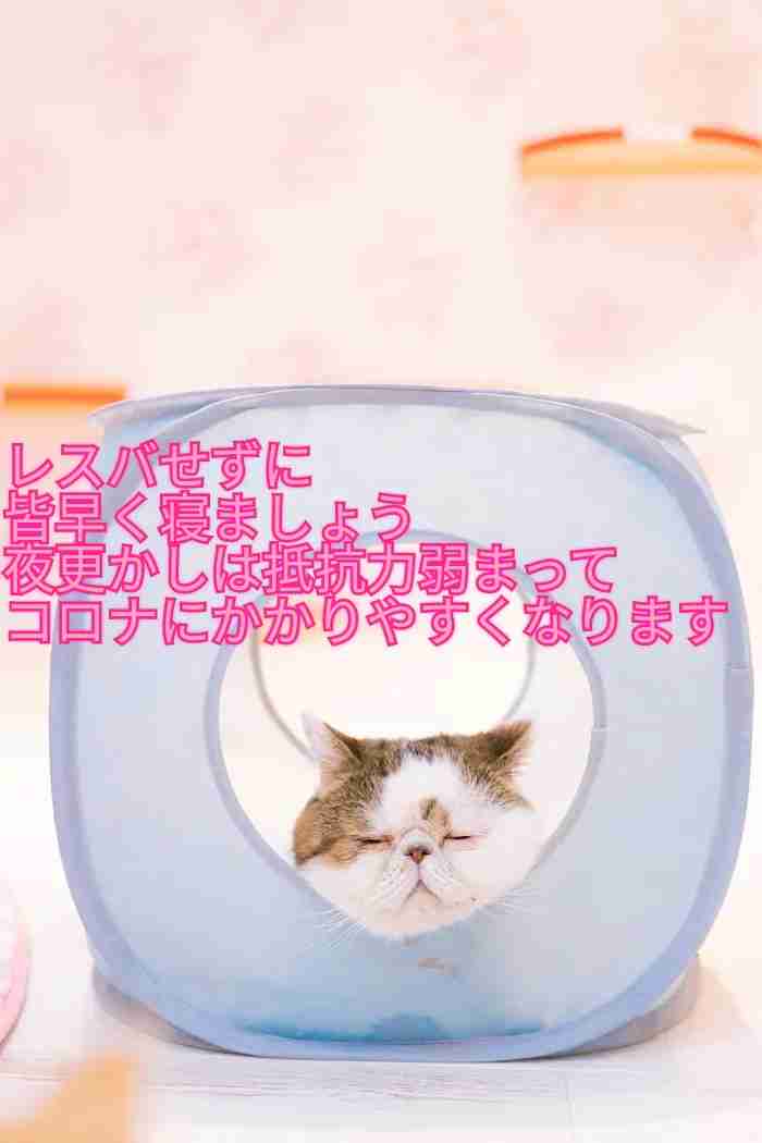 転職活動長期化パート84