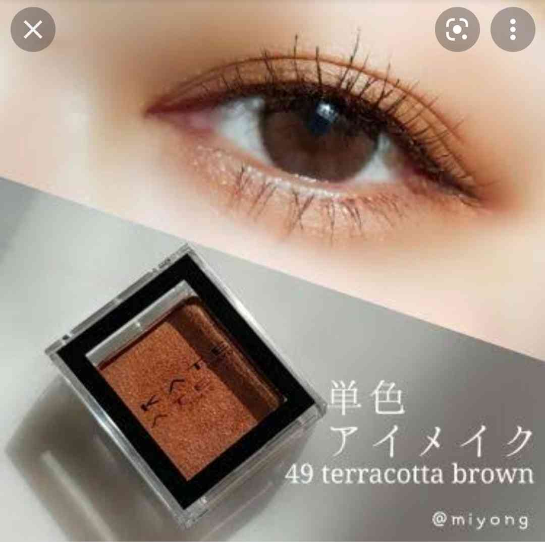 最近買ったプチプラ秋コスメ