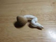 太ももだけ痩せない!!!