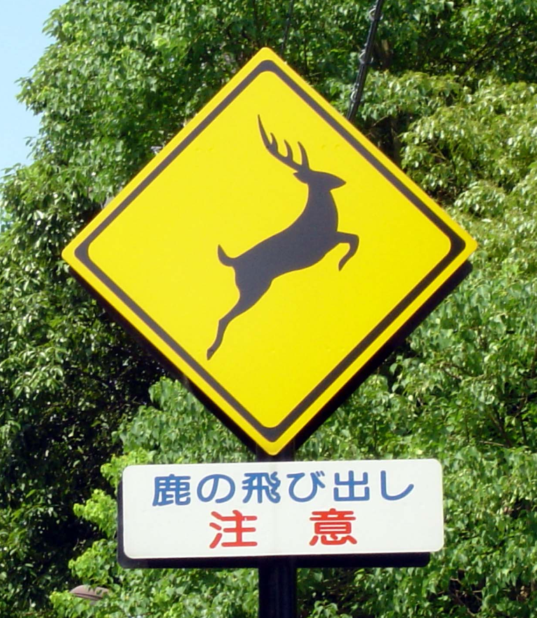 「さすが奈良」としか言えない とあるコインパーキングの「日常風景」に驚愕