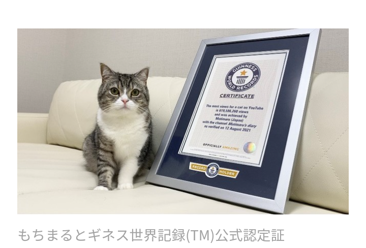 チャンネル登録しているユーチューバーにプラス