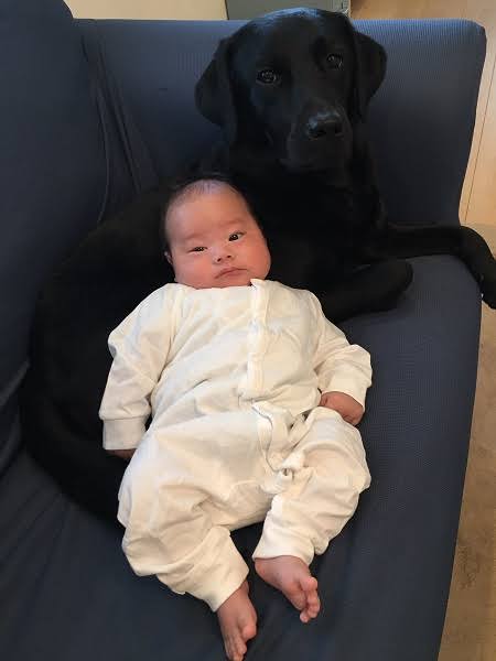 【9/6】色んな黒いものの画像が見たい【クロ】