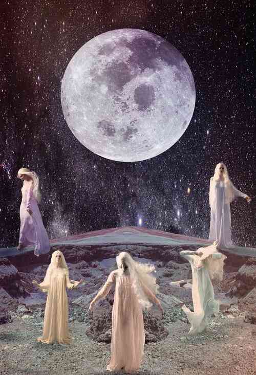 【9/6】色んな黒いものの画像が見たい【クロ】