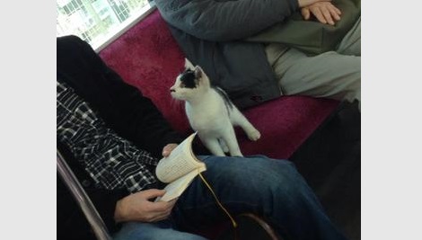 電車通勤・通学の人 朝は座れますか?