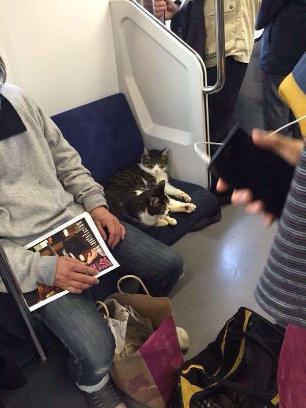 電車通勤・通学の人 朝は座れますか?