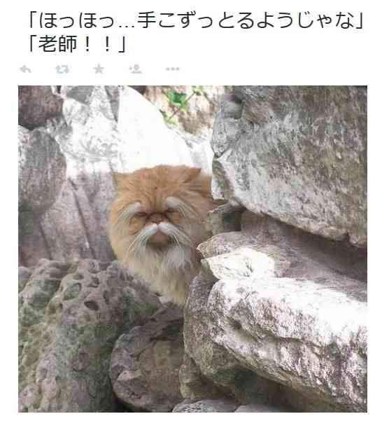 【アダルト】素朴な疑問をプラマイ調査
