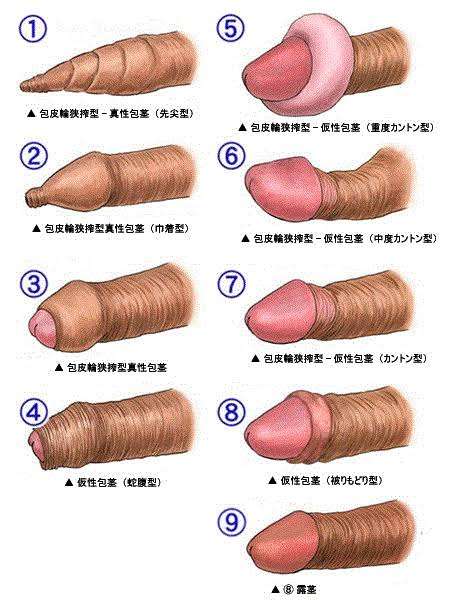 【アダルト】素朴な疑問をプラマイ調査
