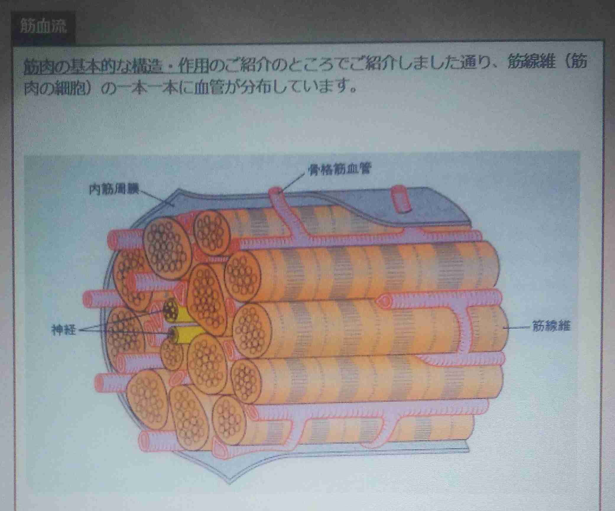 混入異物はステンレス　モデルナ製、製造機器破片―厚労省