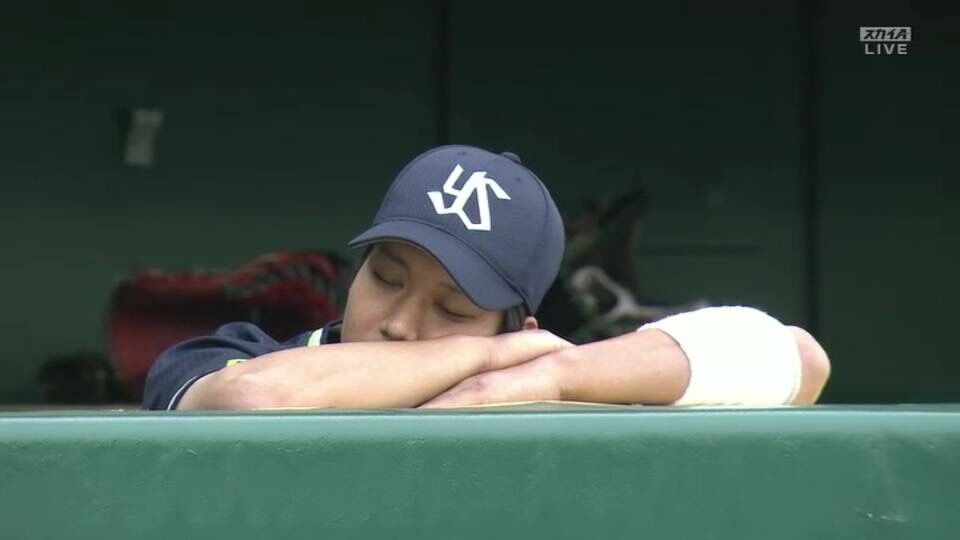 集え!ヤクルトスワローズファン!