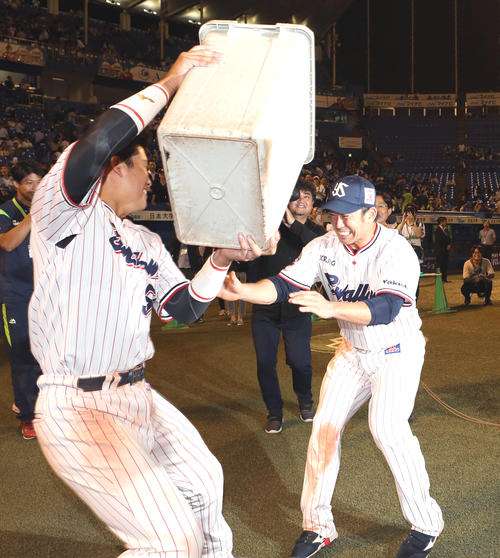 集え！ヤクルトスワローズファン！