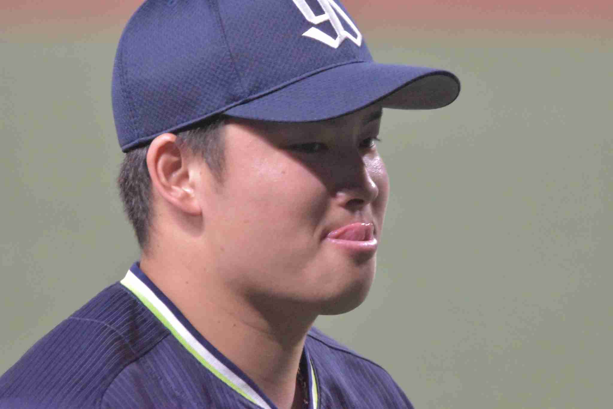 集え！ヤクルトスワローズファン！