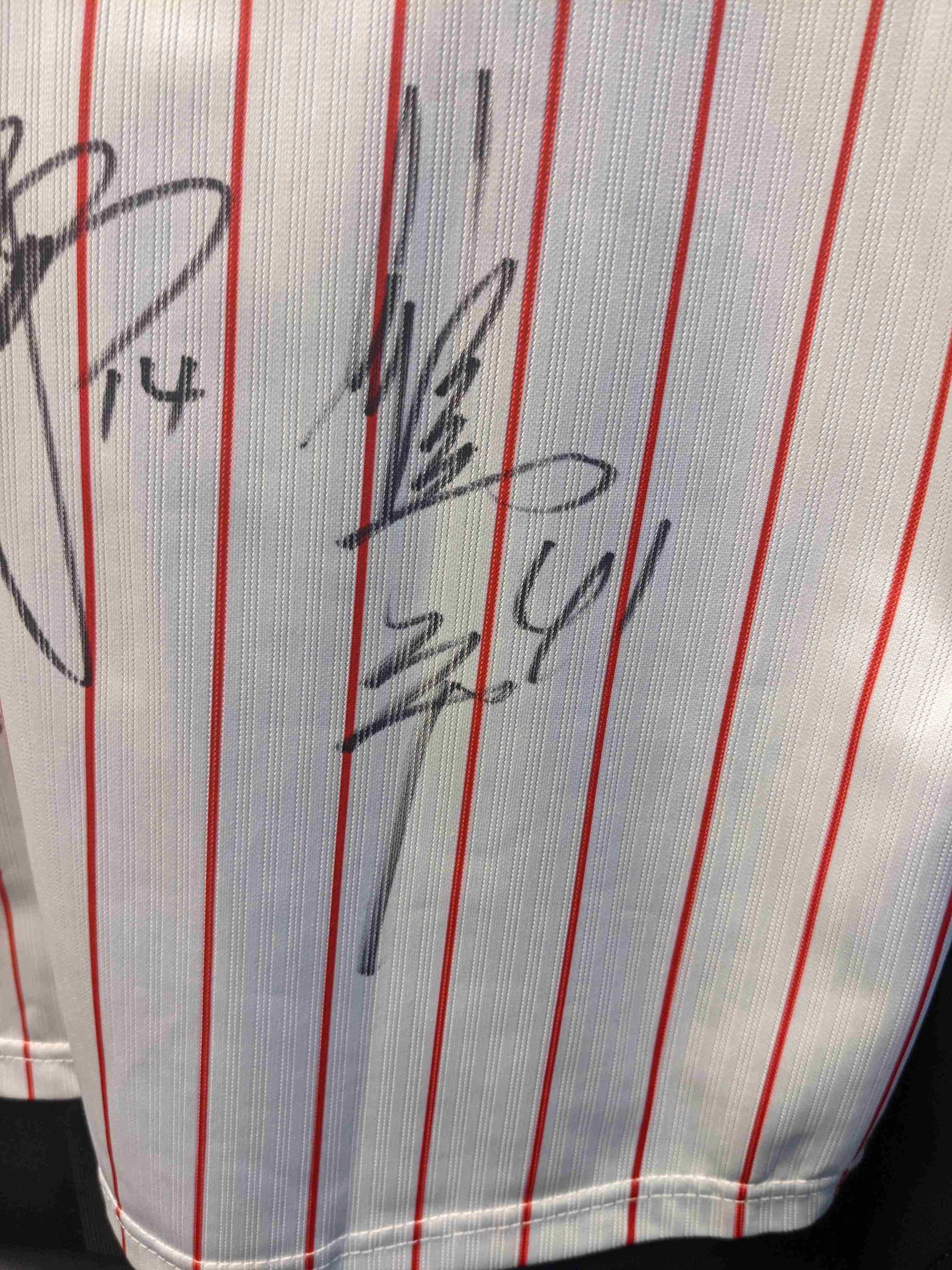 集え！ヤクルトスワローズファン！