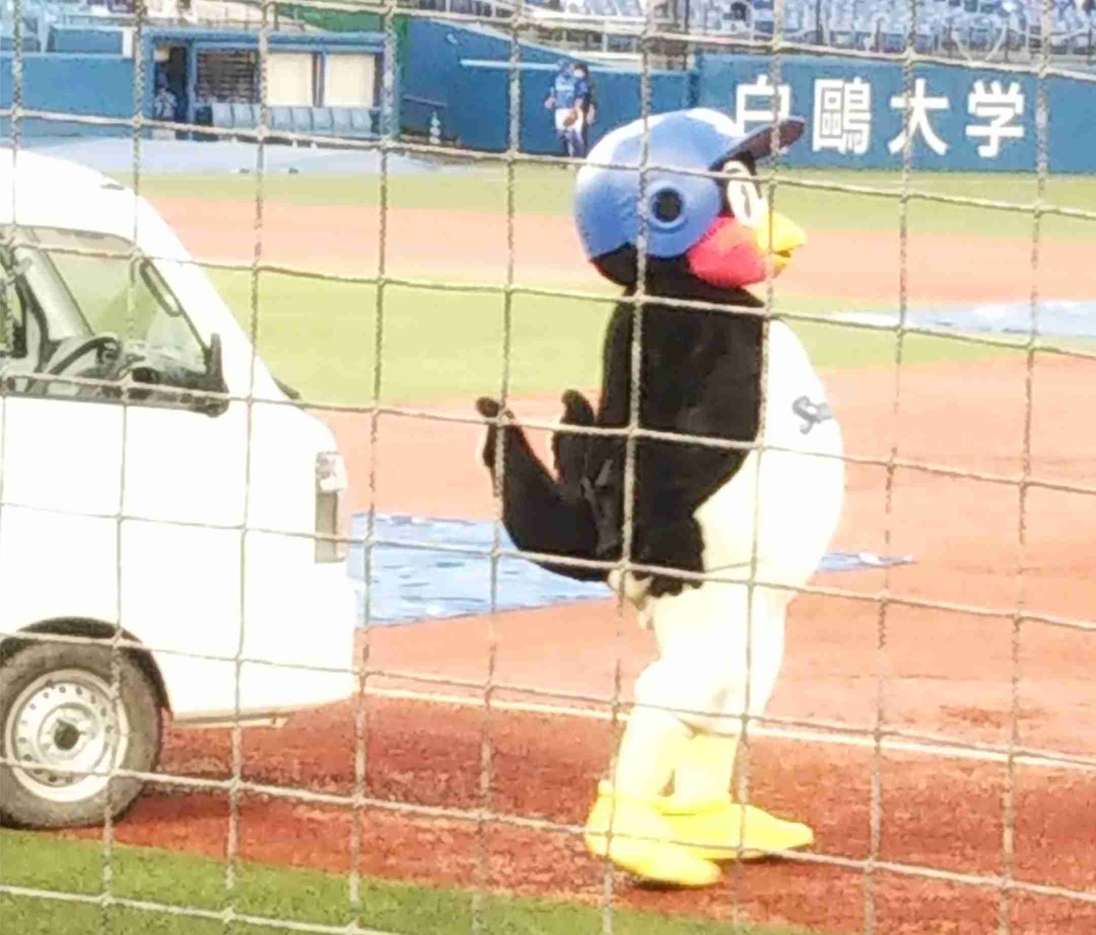 集え！ヤクルトスワローズファン！