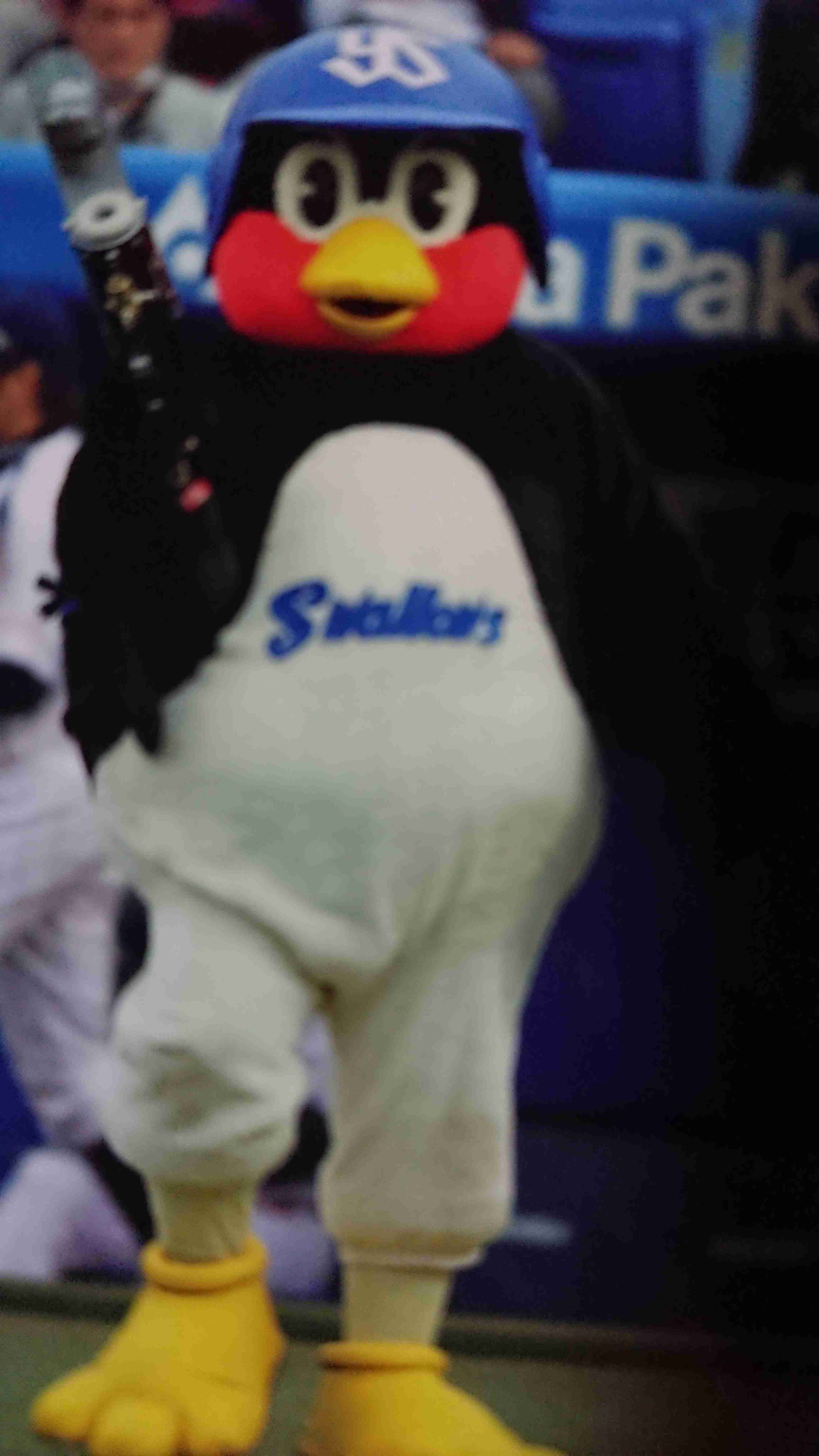 集え!ヤクルトスワローズファン!