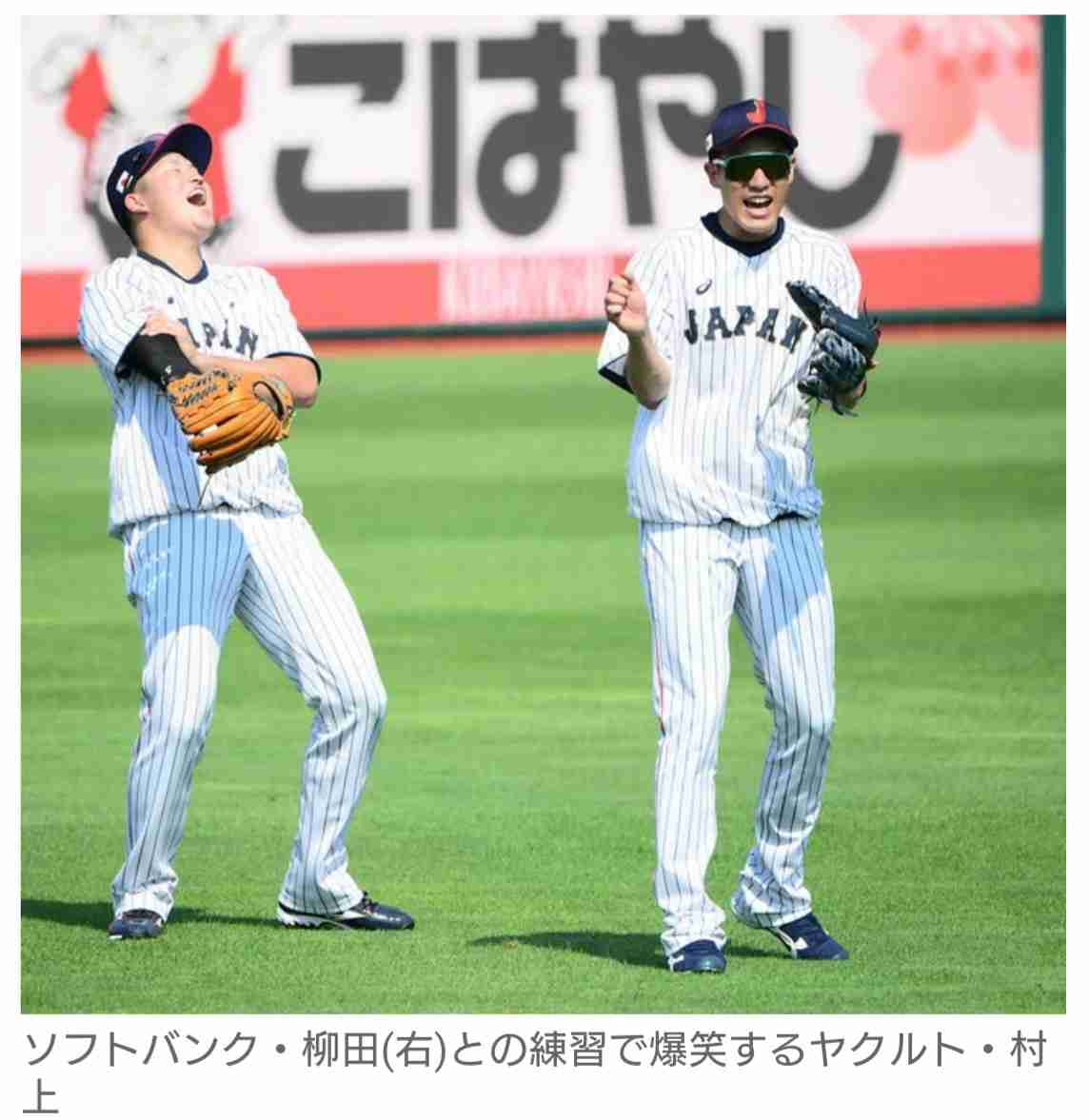集え！ヤクルトスワローズファン！
