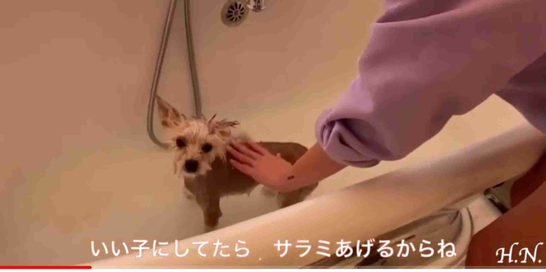 ジャスティン・ビーバーを語りたい!